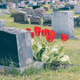 Image for article titled Louisiana Family Denied Burial Plot for Black Man at 'Whites Only' Cemetery...In 2021